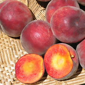 Earlitreat Peach